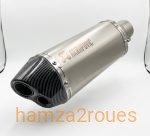 Pot d'échappement Akrapovic Dual Exit