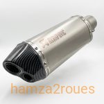 Pot d'échappement Akrapovic Dual Exit