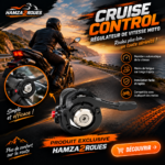 Régulateur de Vitesse Moto – Cruise Control – Image 6