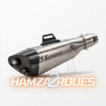 Pot d'Échappement Akrapovic - Double Sortie Carbone