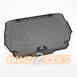 Cache Protection Radiateur Kawasaki Z900